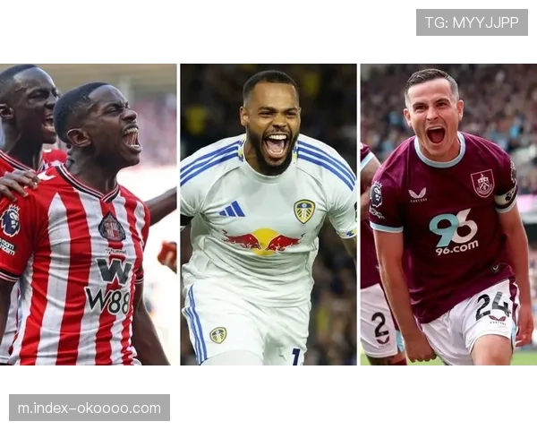 升班马桑德兰的适应之路：最强升班马如何稳居积分榜中游