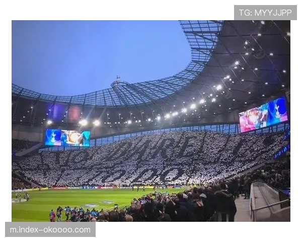 热那亚费拉里斯球场启动百年看台翻新工程