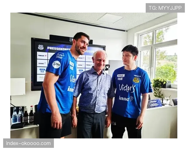 德甲财务公平法案执行情况受关注，多家俱乐部面临审查